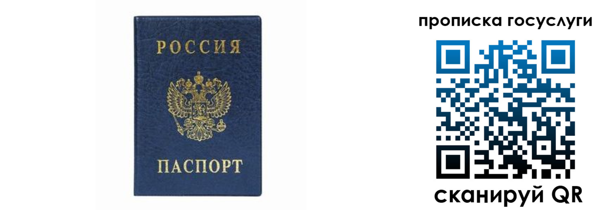 прописка штамп в Вологде